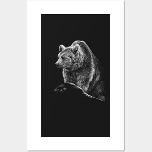 Bear Posters and Art